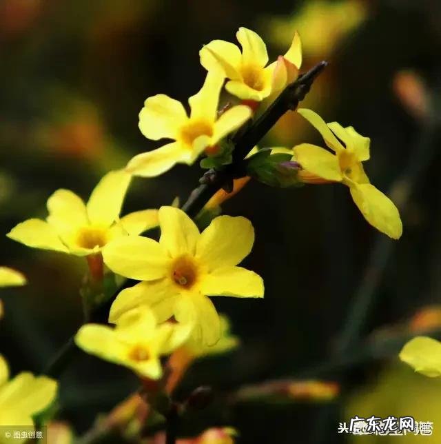 春天应该如何养生?