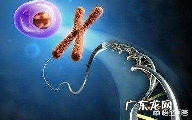 第三代试管婴儿有什么优势?