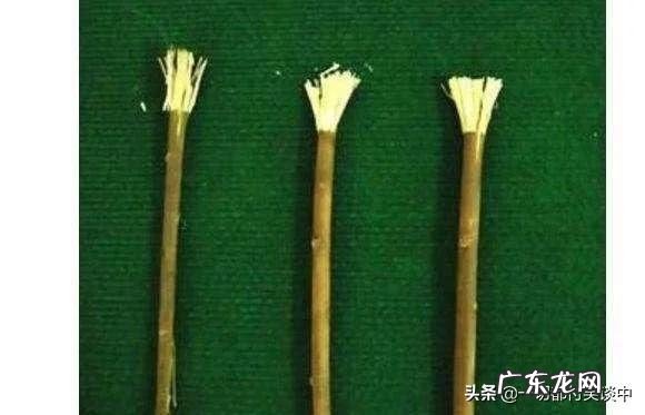 古代人也刷牙吗?用什么刷呢?