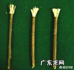 古代人也刷牙吗?用什么刷呢?