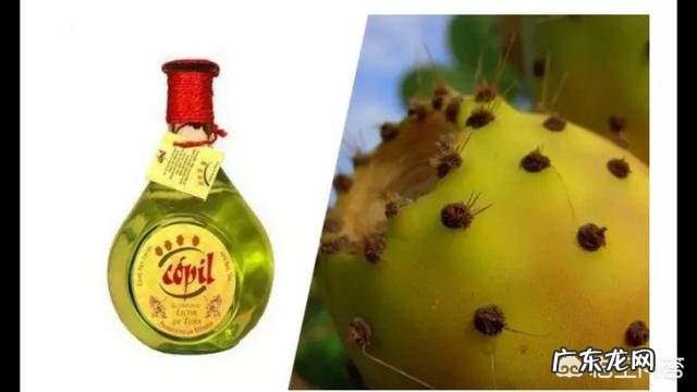 听过猫屎咖啡象屎咖啡,有没有什么奇葩的酒呢?