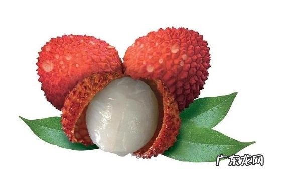 夏天吃什么水果最解暑?