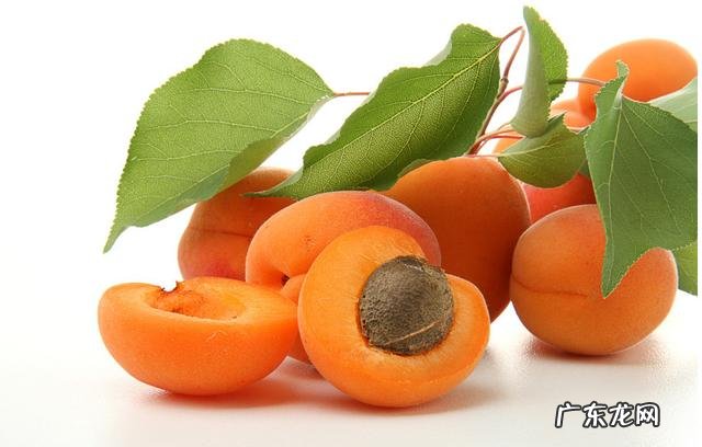 夏天吃什么水果最解暑?