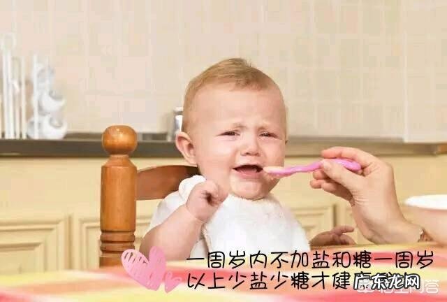 九个月宝宝辅食可以添加什么调料呢?