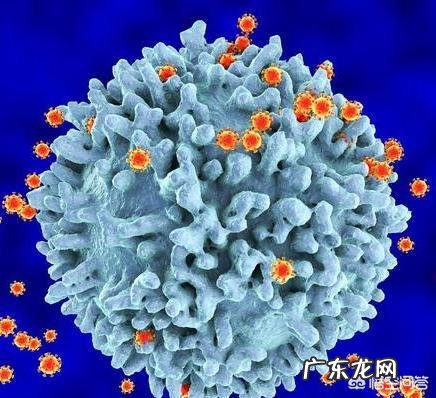 丙型肝炎是通过什么途经传染的?