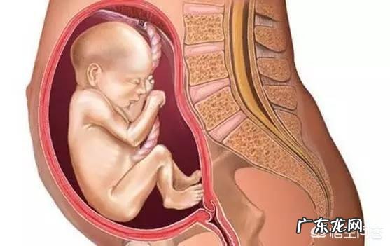 孕检时发现胎位不正怎么办?