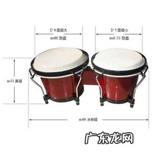 有哪些孩子成长体验的早教课程?