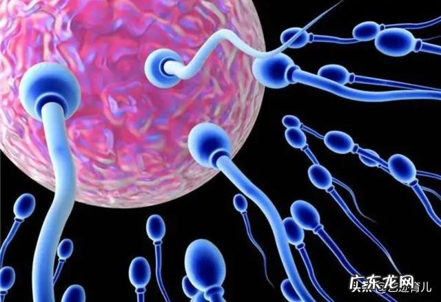 卵泡质量不好会导致胚胎染色体异常吗?