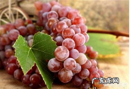 如果怀孕的时候经常吃葡萄,胎儿会过大吗?为什么?