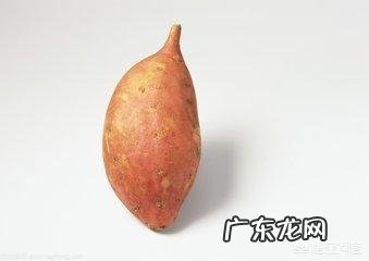 圆紫薯和长形紫薯营养价值一样吗?