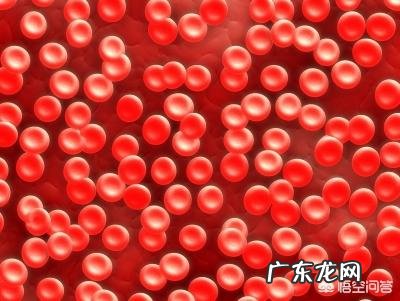 性激素六项对备孕有多重要?