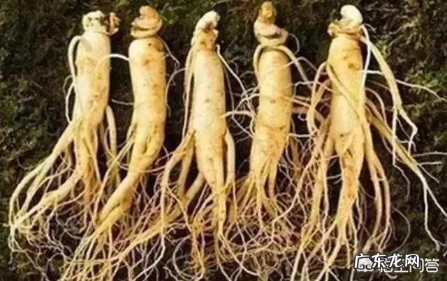 怀孕后,什么补品都没吃,过了三个月,饭吃的挺多,大家觉得用吃孕妇补品吗?