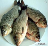 用鲫鱼，冬瓜皮，玉米须熬汤有什么功效？