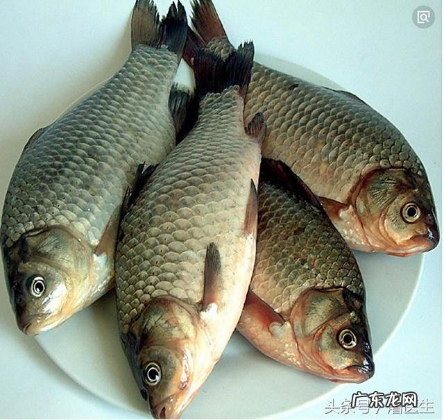 用鲫鱼,冬瓜皮,玉米须熬汤有什么功效?