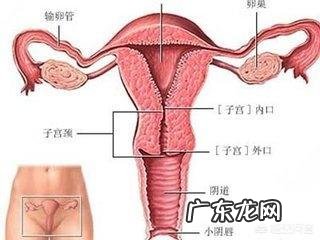 宫颈炎是如何导致不孕?