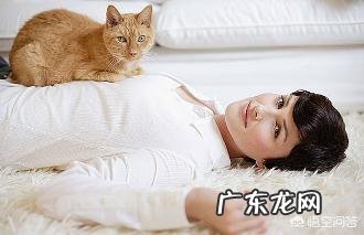 吸猫到底有没有可能感染弓形虫?