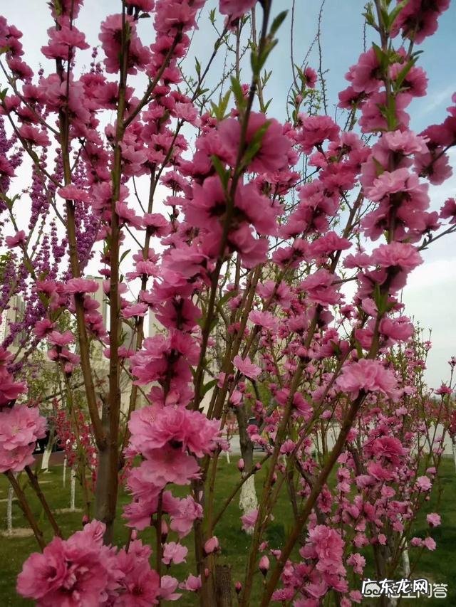 感觉生活没有意思,感觉心太累,怎么办?