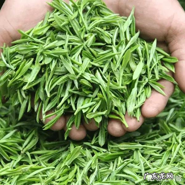 茶叶行业是暴利行业吗?手炒茶好还是机炒茶好?您们怎么看?