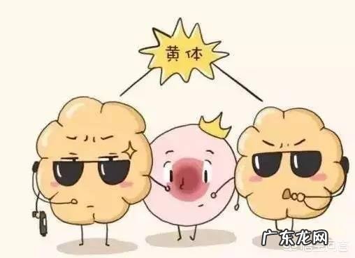 做试管婴儿的流程是怎样的?