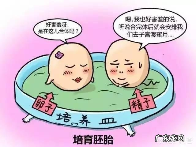 做试管婴儿的流程是怎样的?