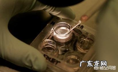 做试管婴儿的流程是怎样的？