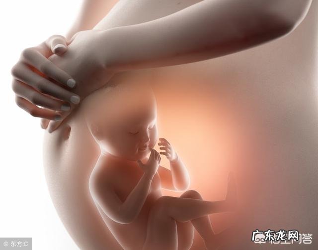 什么时候可以感受到胎动？