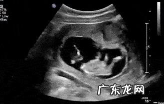 什么时候可以感受到胎动?