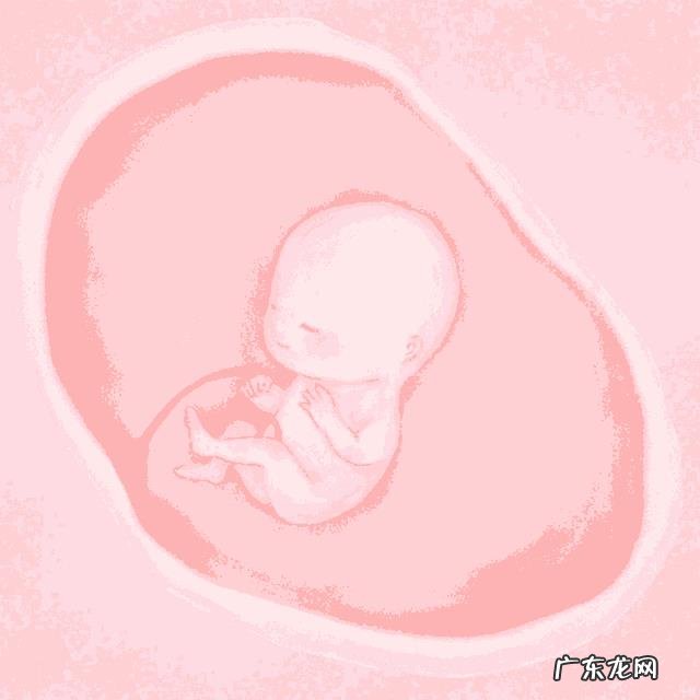 什么时候可以感受到胎动?