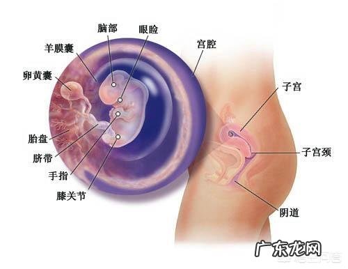 什么时候可以感受到胎动？