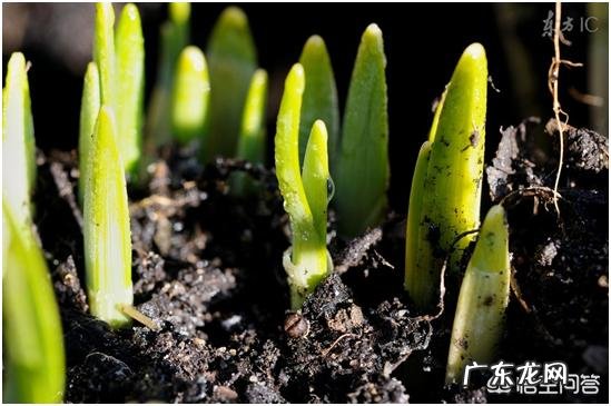 不敢看别人的眼睛是自卑内向的表现吗?