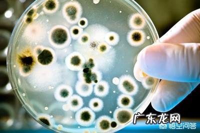 婴儿感染肺炎了怎么办?