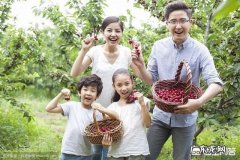 为什么有些地方的农村采摘园水果价格比市面上贵很多？