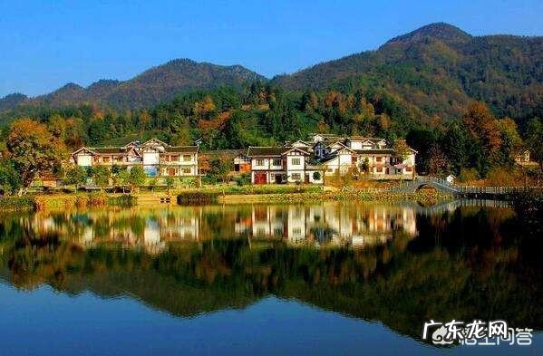 如何全面整治农村人居环境?