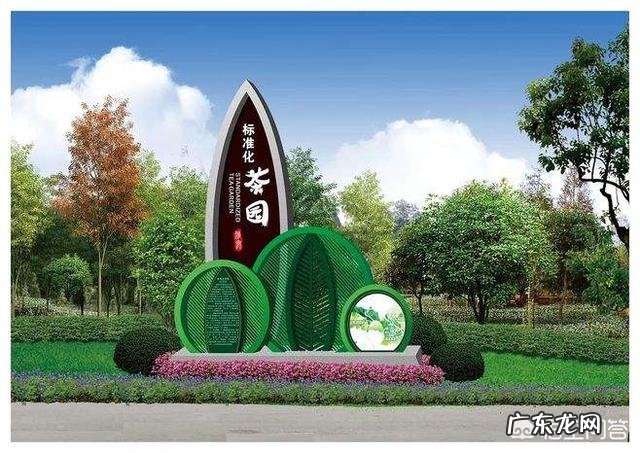 如何全面整治农村人居环境?