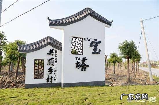 如何全面整治农村人居环境?