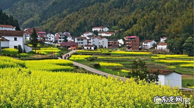 如何全面整治农村人居环境?