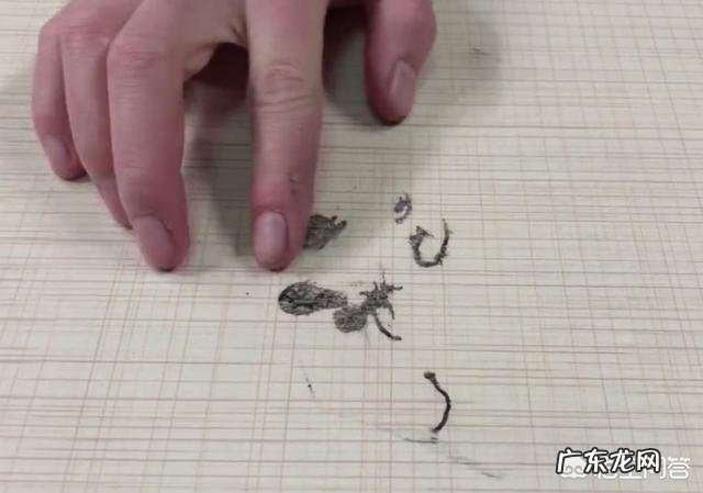 香蕉皮有什么用处?