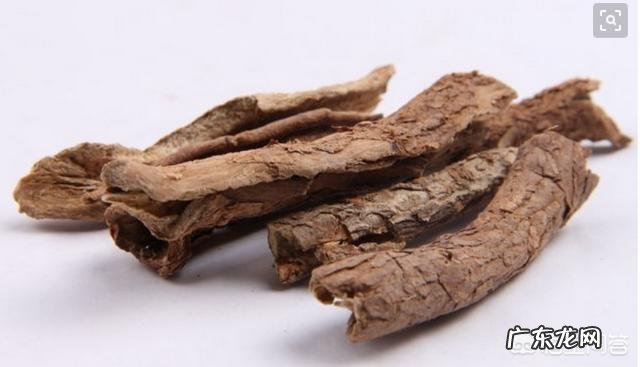 请问刺五加的药用功能有哪些谢谢？