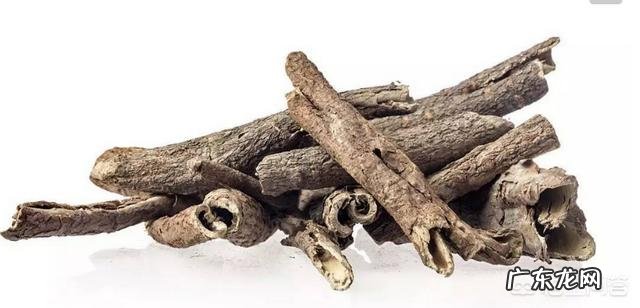 请问刺五加的药用功能有哪些谢谢？