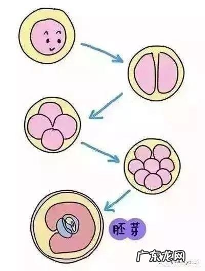试管婴儿移植成功后多久可以测出?
