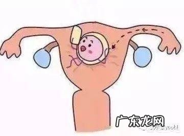 试管婴儿移植成功后多久可以测出?