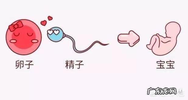 试管婴儿移植成功后多久可以测出?