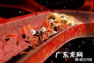 胆固醇高,不能吃什么?