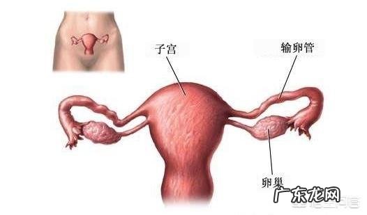 大姨妈来了一个月了怎么办?