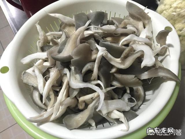 椒盐蘑菇怎么做?