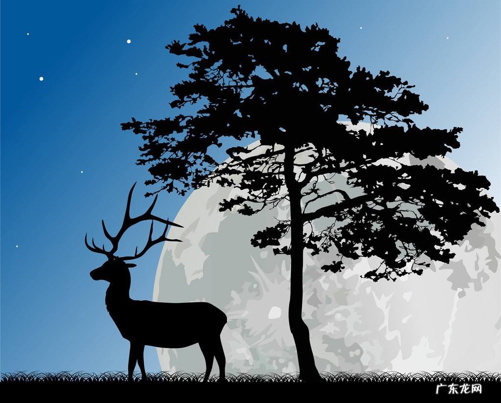 雄鹿的哪个身体部位有再生功能每年都会完整地重生