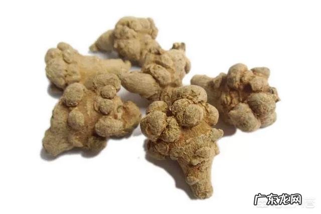 最近身边好多人在吃三七,说是能养生,但是三七的功效与作用是什么?