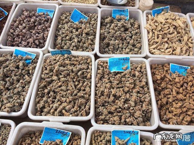 怎么挑选三七？