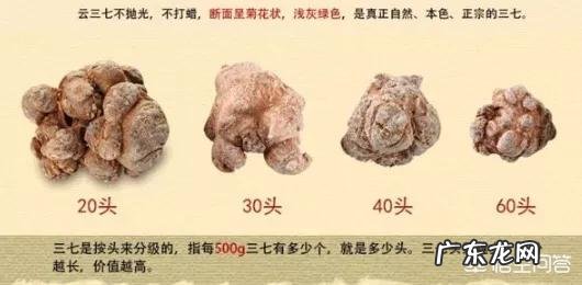 怎么挑选三七？