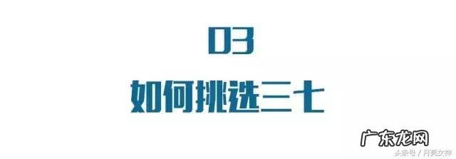 怎么挑选三七？